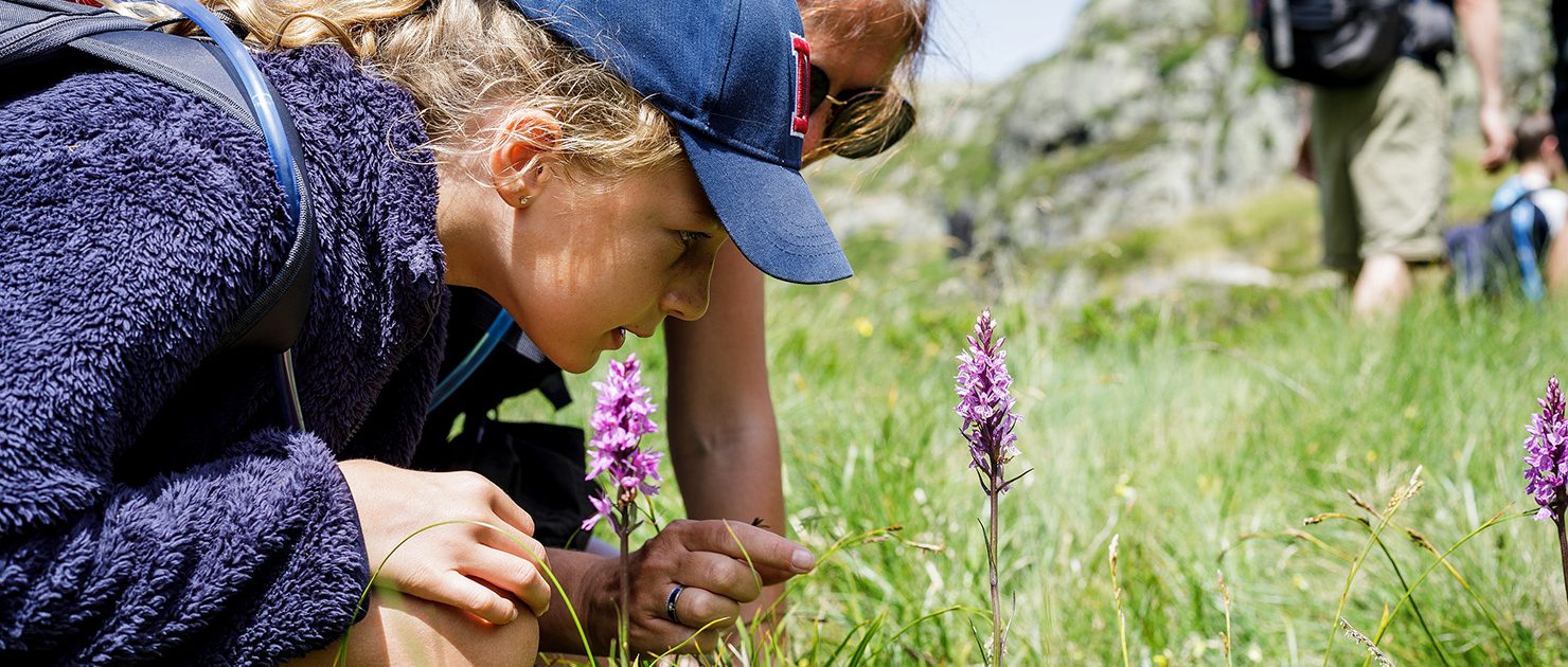 flore cr stephane meurisse 1480x630