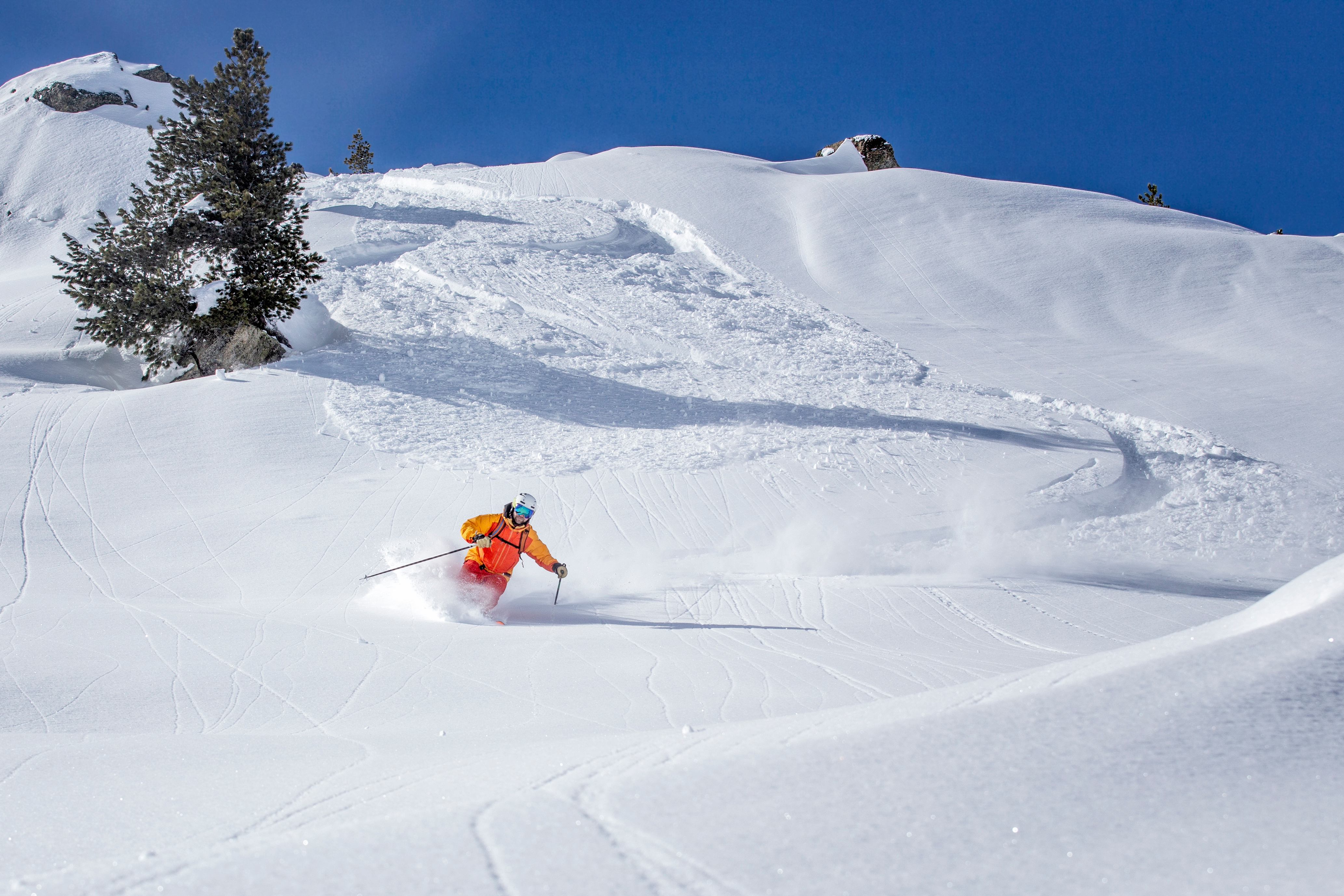 Descente à ski de montagne